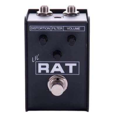 ProCo Lil Rat | Reverb