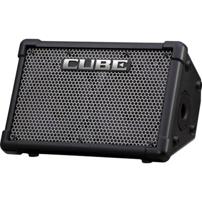 Roland CUBE Street EX - Battery Powered Stereo Amplifier image 2