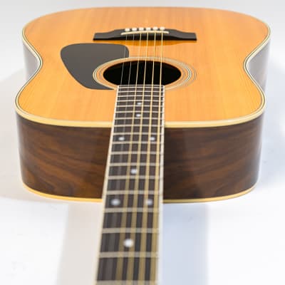 1980s Morris MD-505 Acoustic Dreadnought Guitar - Natural