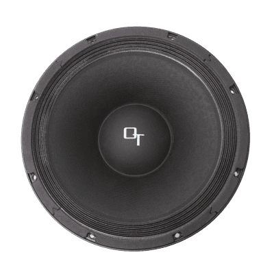 OverTonez Audio Thick Boy 12" Guitar Speaker (EVM-12L, EVM12L, WGS12L, EM12 alternative) 300W, 8ohm image 4