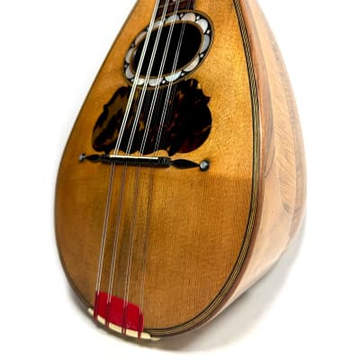 Pasquale Vinaccia Mandolin from 1883 image 3