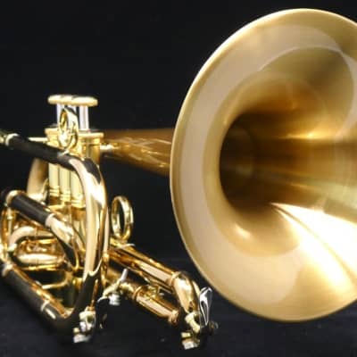 CarolBrass 8382 GLS(D) Cornet from Trent's Personal Collection! image 1