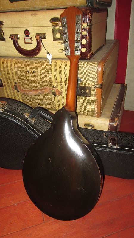 Gibson Octave Mandolin 1904, Natural