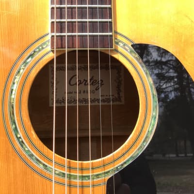 Cortez J-6500 Solid Top Acoustic Guitar 1970's Japan Martin Cortez J-6500 Solid Top Acoustic Guitar 1970's Japan Martin