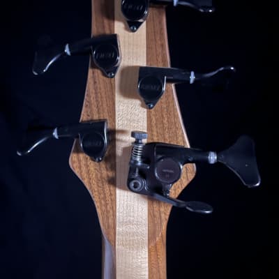 Fretless 5 string bass guitar image 12