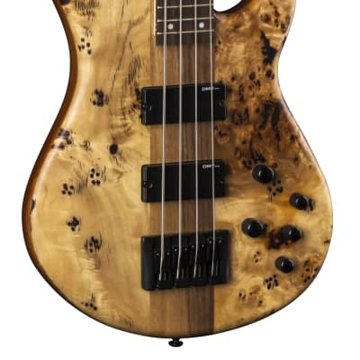 Dean Edge Select 4-String Bass, Burled Poplar, E4 SEL BRL for sale