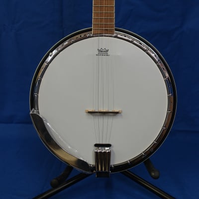 Ozark 5 String Electric Banjo and Padded Cover for sale