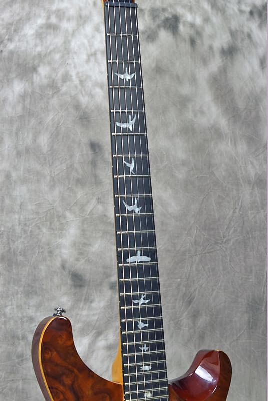 Paul Reed Smith PRS SE Custom24 Bird Inlay Walnut Burl Top