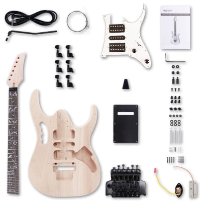 Leo Jaymz DIY Electric Guitar Kits in IBZ Style - The goods have arrived in the United States image 1
