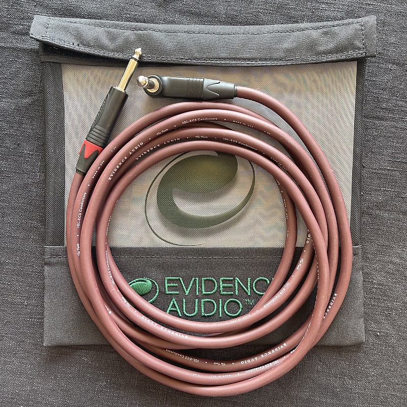 Guitar cable jack Evidence Audio The Forte 10” angled to Reverb