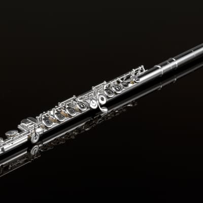 Pearl Quantz Vigore Flute 665 Series Open Hole/B Foot/Split E/C# Trill/D# Roller/3K Gold Lip 2-Day | WorldShip | Authorized Dealer image 10