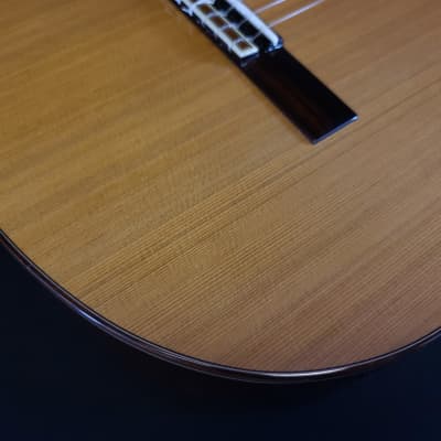 Jose Ramirez Estudio Studio Cutaway 1 Nylon String Classical Guitar w/ Logo'd Hard Case image 4