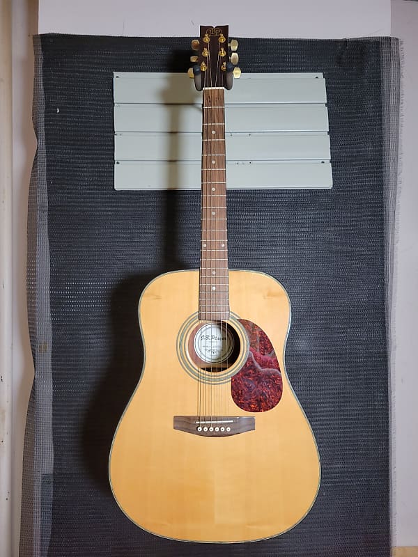 JBPlayer JB90S Acoustic Guitar Reverb