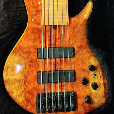 Roscoe Century Signature 6 Fretless Bass image 2