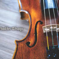 1981 Adjusted Karl Höfner Bubenreuth 4/4 Violin with New