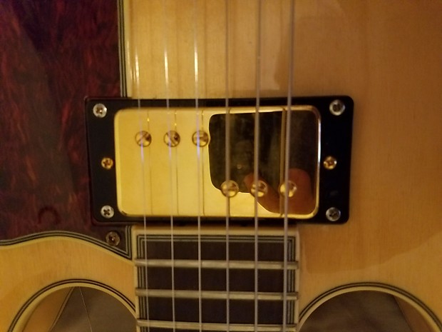 【2024年新作】 Set P92 Fralin Lindy Gold Reverb | ギター