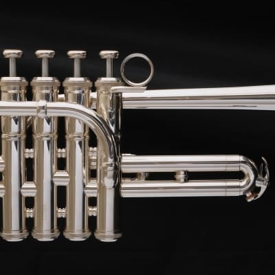 Immagine Brasspire Unicorn Piccolo Trumpet: Amazing Value and Performance! - 2