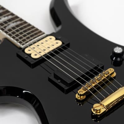 FERNANDESギター The Fernandes MG80X !! Mockingbird Style Signature guitar of