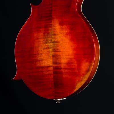 Eastman MD515/V Varnish F-Style Full Gloss Mandolin NEW image 14