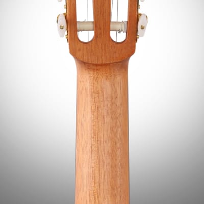 Cordoba Protege C1M Classical Acoustic Guitar image 8