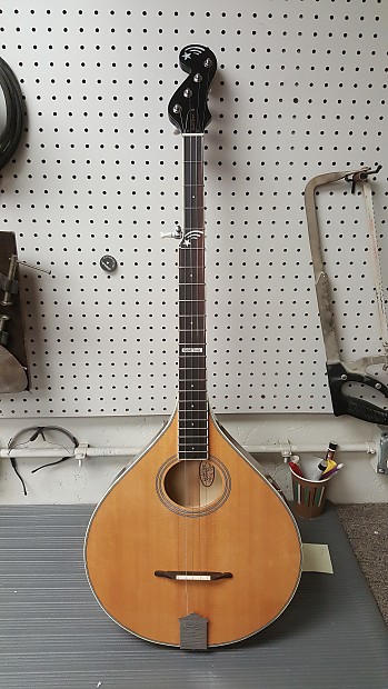 Gold Tone Banjola Factory Blem Sale Reverb