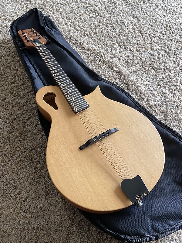 M1E Acoustic Electric Mandolin Reverb