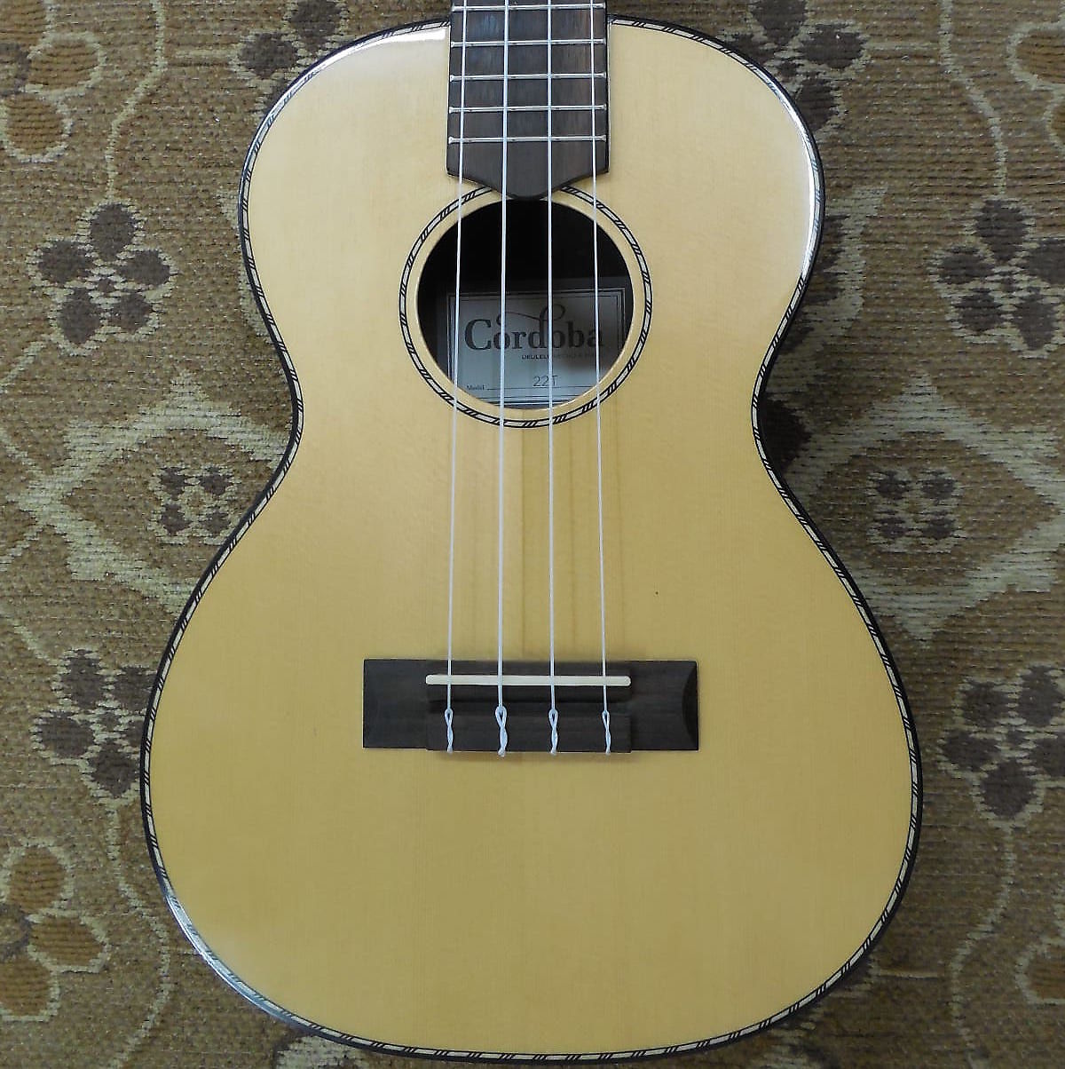 Cordoba 22t hot sale