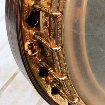 Windsor  Supremus Deluxe Tenor Banjo image 5