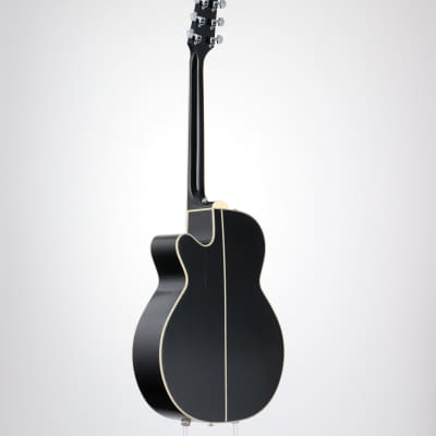 Takamine　TDP561C BL s-l1200.jpg
