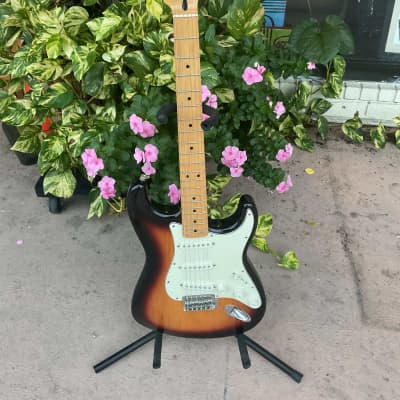 Fender Standard Stratocaster with Maple Fretboard 2006 - 2017 - Brown Sunburst image 1