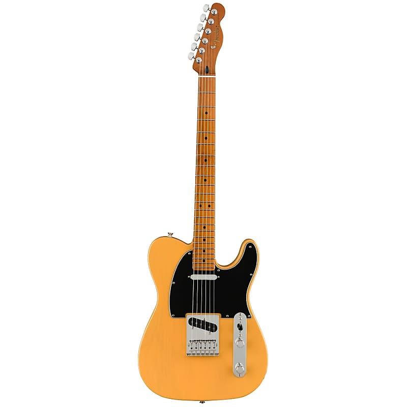 Fender Player Telecaster with Roasted Maple Neck image 1