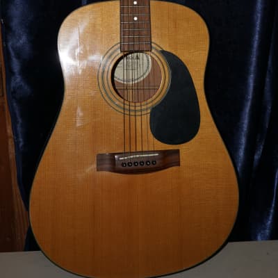 Samick LW-025G - Acoustic Guitar for sale