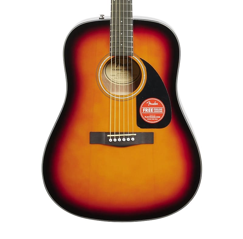 Fender dreadnought 2025 acoustic guitar case