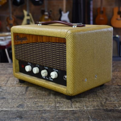 Clingan Super 8 Head Tweed Reverb Brazil