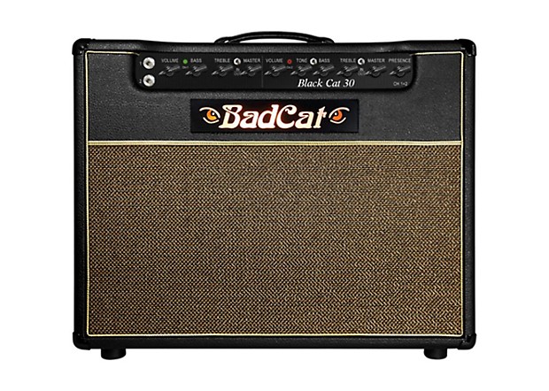 Bad Cat Black Cat 30 30-Watt 1x12" Guitar Combo image 1