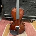 Palatino VN-450 Allegro 4/4 Full-Size Violin Outfit with Case, Bow
