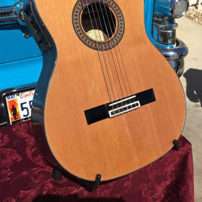 Alvarez MC90C with case Reverb