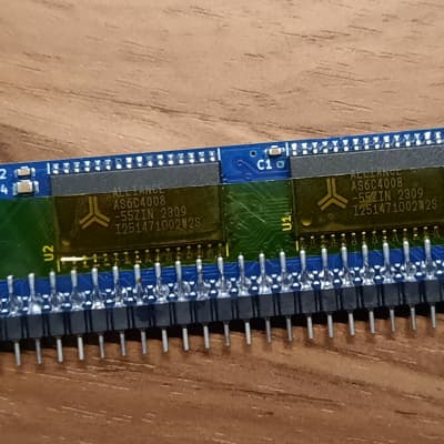 P-RAM pour KURZWEIL série K2500 uniquement