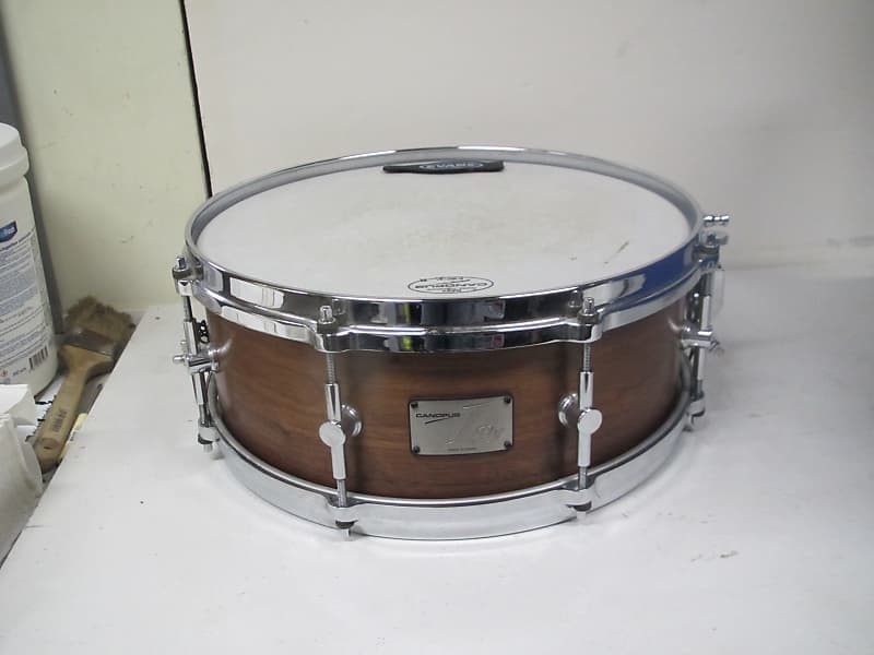 Canopus 1Ply Walnut 5.5 x 14 SSWN-1455 Natural LQ Snare Drum