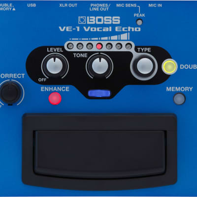 BOSS VE-1 Vocal Echo 3点セット
