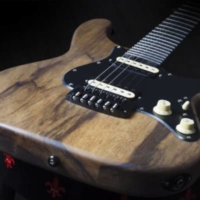 Schecter 1269 Sun Valley Super Shredder Exotic, Black Limba image 4