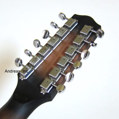 F-Style 12-String Mando-Guitar w/ Hardshell Case image 10