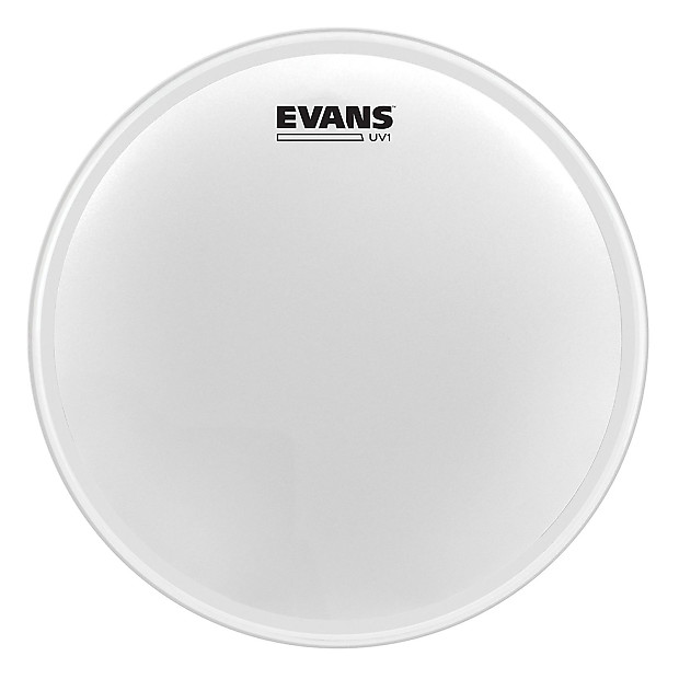 Evans 14" UV1 Coated Drum Head image 1