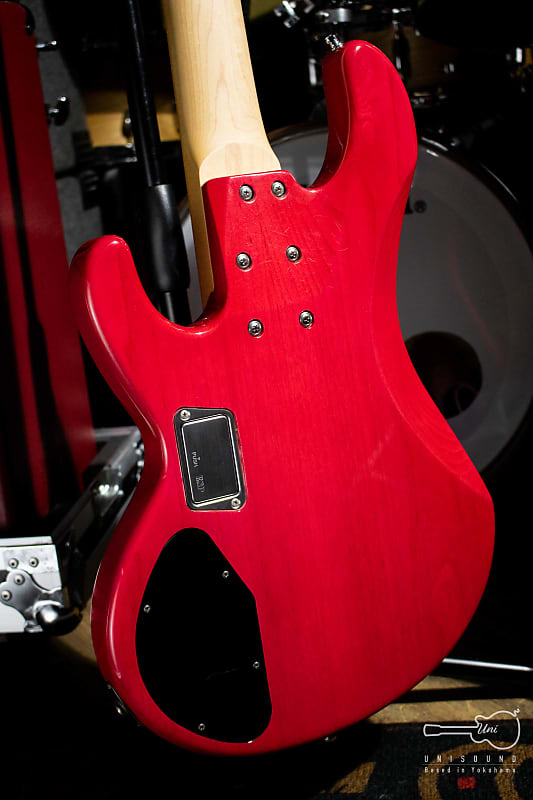 Edwards E-T-170BD L'Arc～en～Ciel tetsuya Model - See Thru
