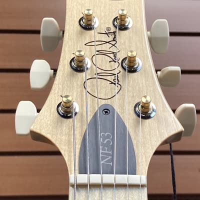 PRS NF 53 in Black Doghair image 5