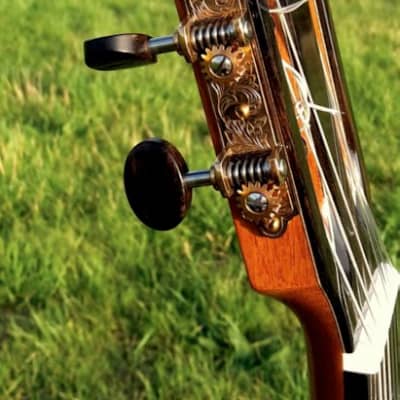Classical Guitar Kim Lissarrague 2018 image 5
