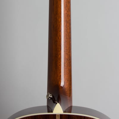 Collings DS2H-ASB Owned and played by Adam Levy Flat Top Acoustic Guitar (2022), ser. #32746, green molded Calton hard shell case. image 20