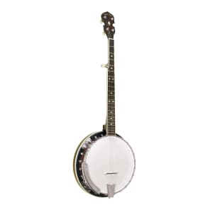 Gold Tone BG-250 Bluegrass 5-String Banjo