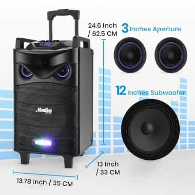 Karaoke Machine Speaker Bluetooth Karaoke Speaker PA System with 12" Subwoofer with DJ Lights image 2