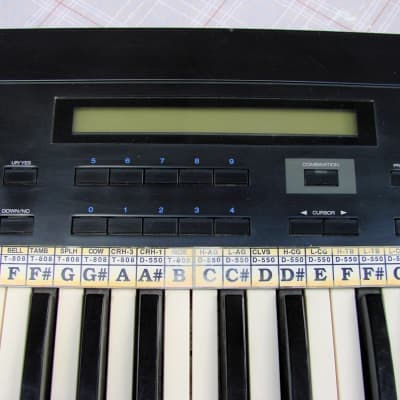 Korg DS-8 Vintage 61 Key Keyboard 1987 Black image 3